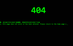 代码输入效果404页面源码