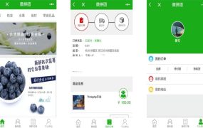 PHP微信拼团商城小程序源码