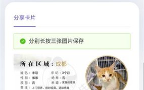 内核流浪猫流浪狗宠物领养平台H5源码